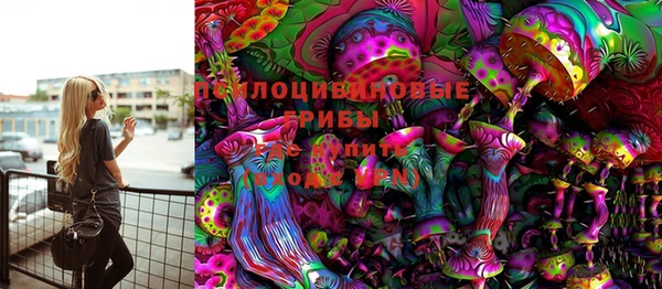 гашик Алексин