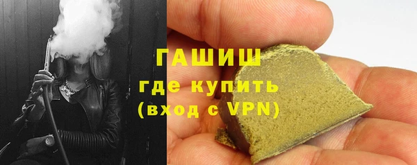 гашик Алексин