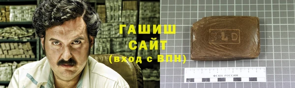 гашик Алексин