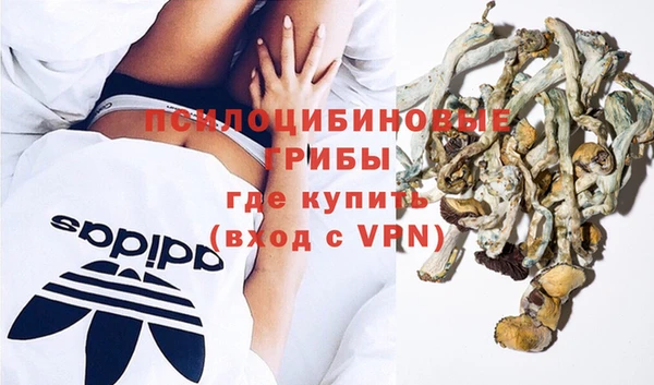 гашик Алексин