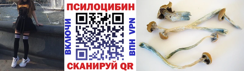 Галлюциногенные грибы Psilocybine cubensis  Лобня 